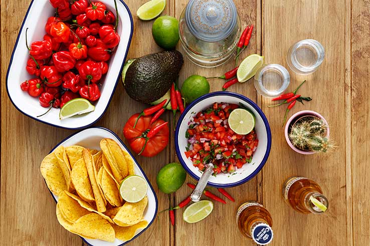 cursos EL GUSTO ES NUESTRO